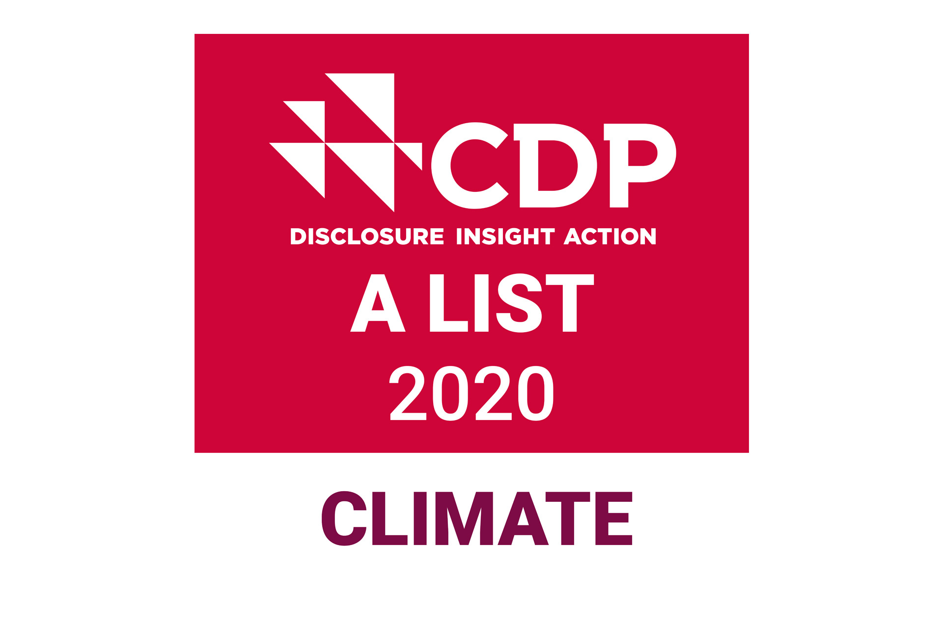 CDP印章2020
